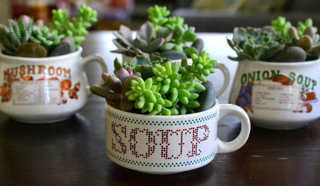 Ambientes internos e suas plantas