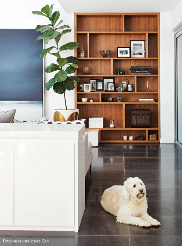O piso ideal para quem tem pets
